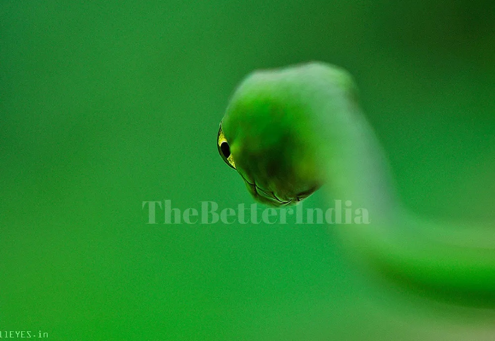 Photography 