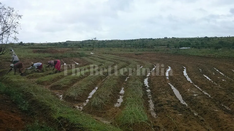 Andhra Pradesh Village