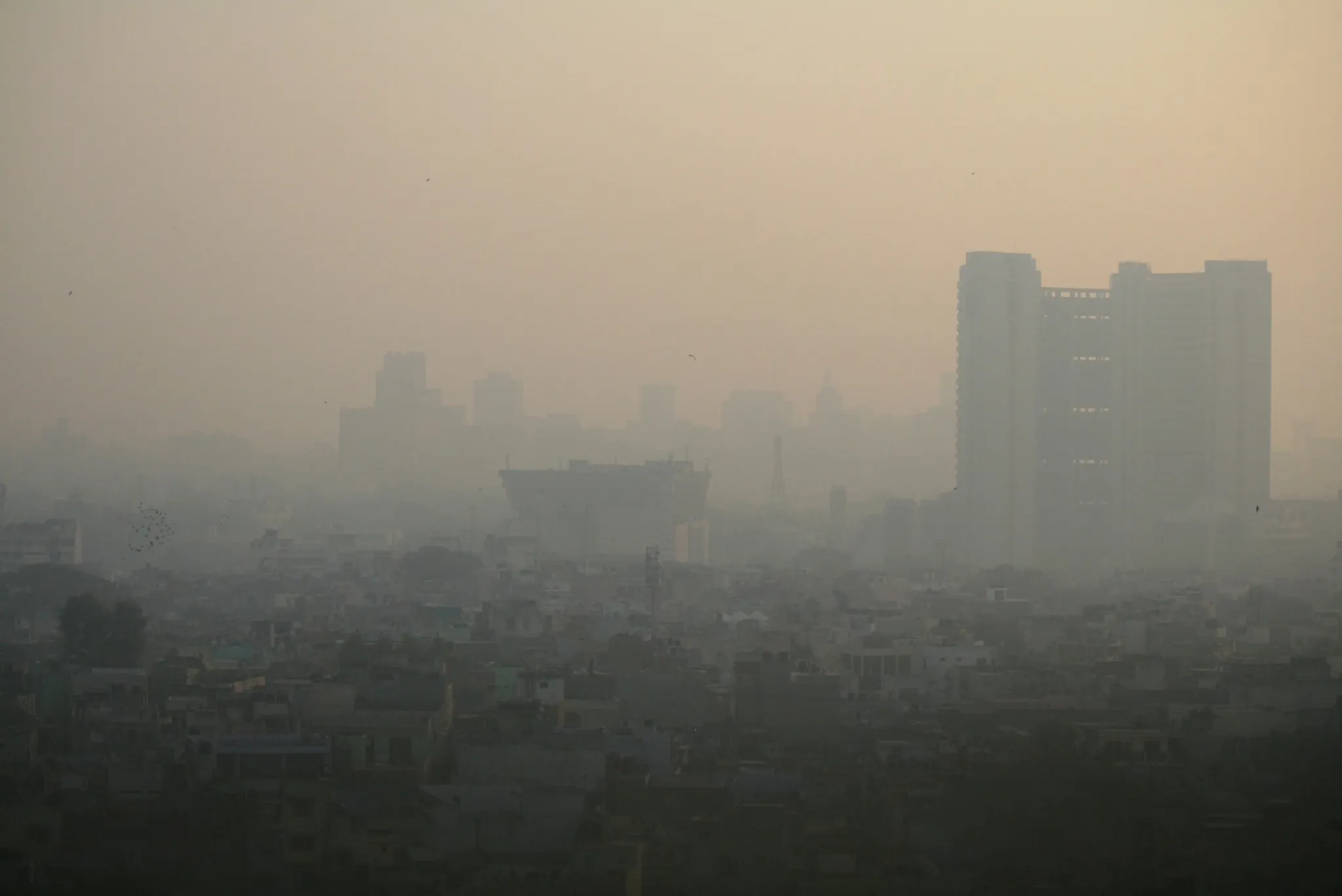 Delhi pollution