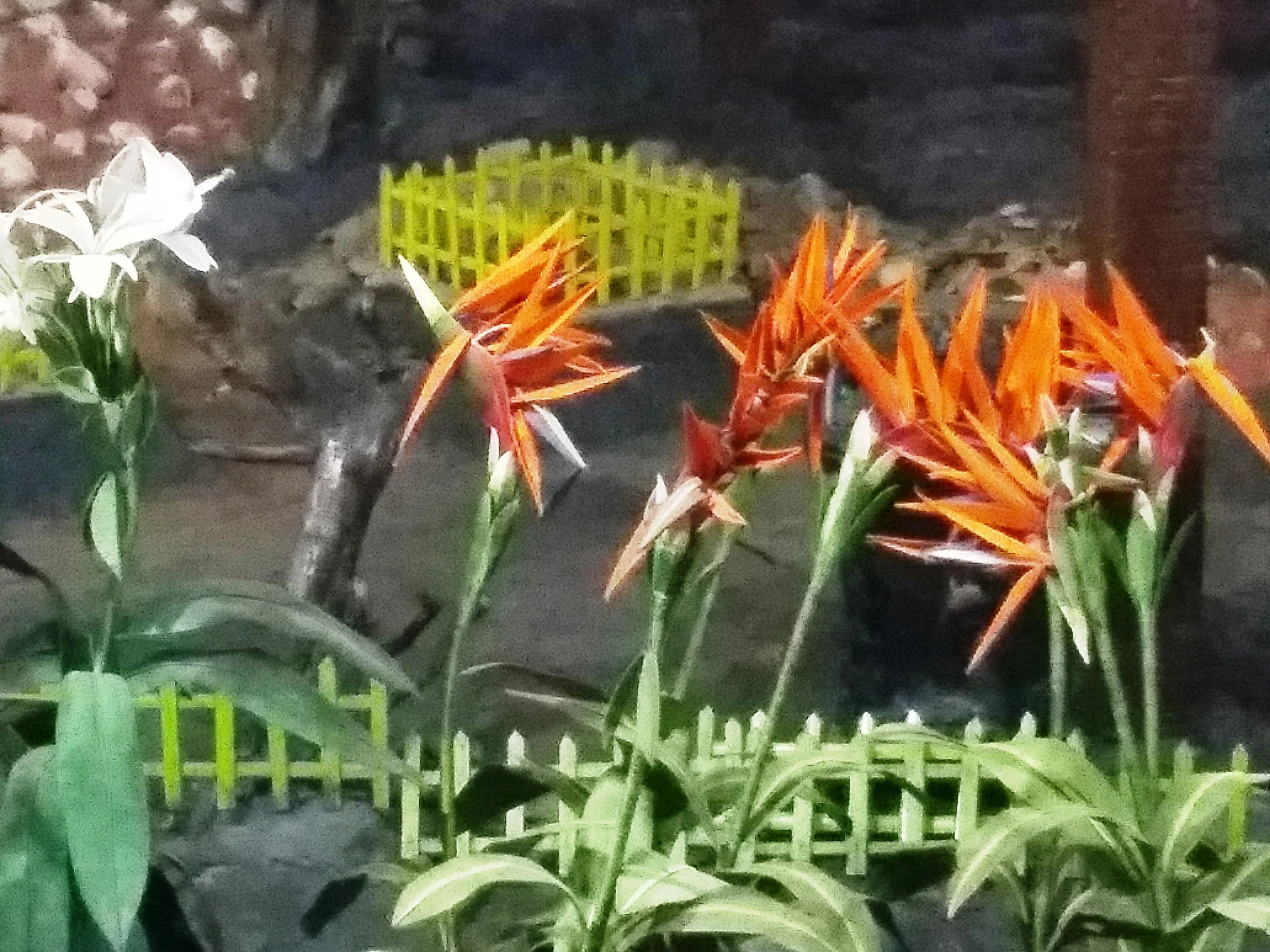 Bird of Paradise created with threads Photo Credit: Sonika Sharma