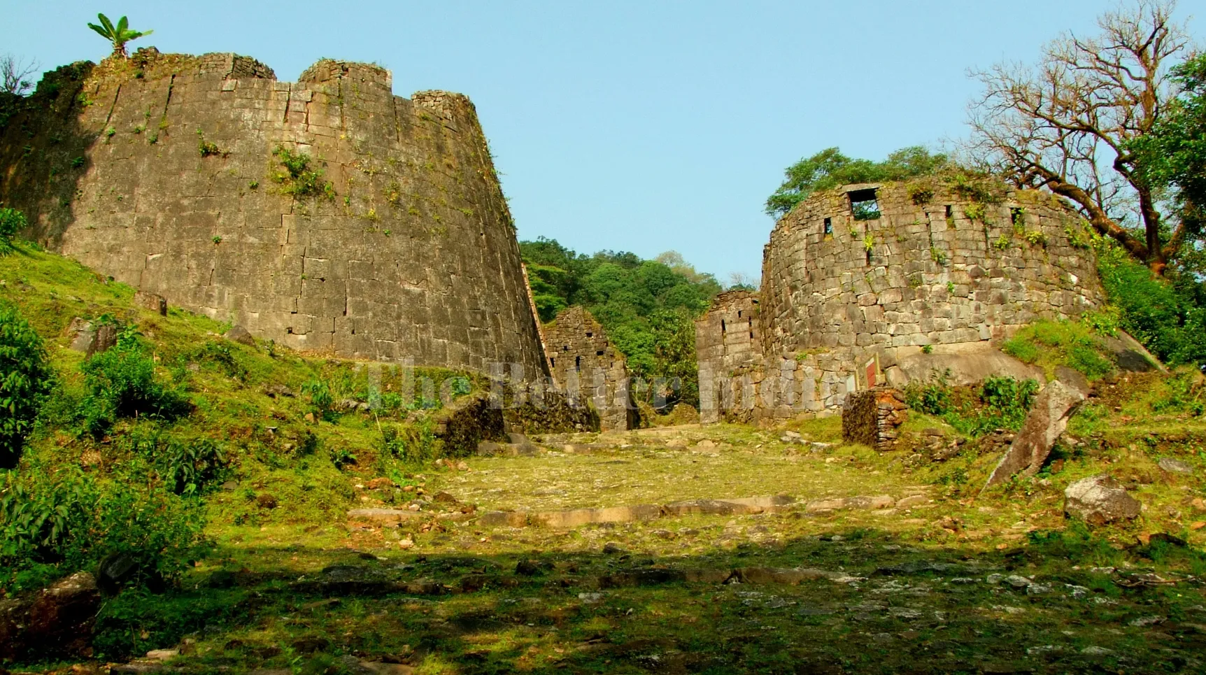 The Better India (44)