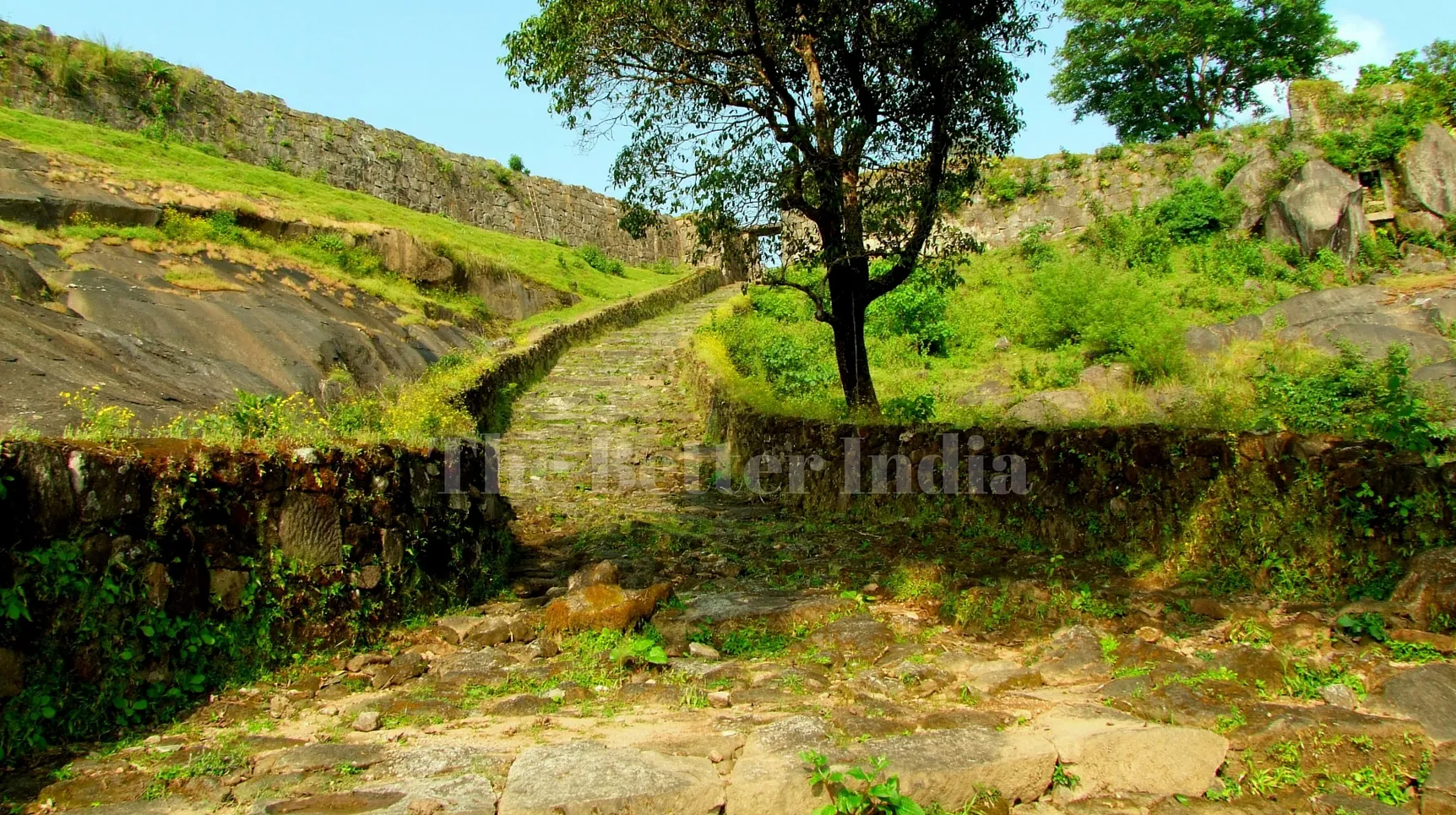 The Better India (46)