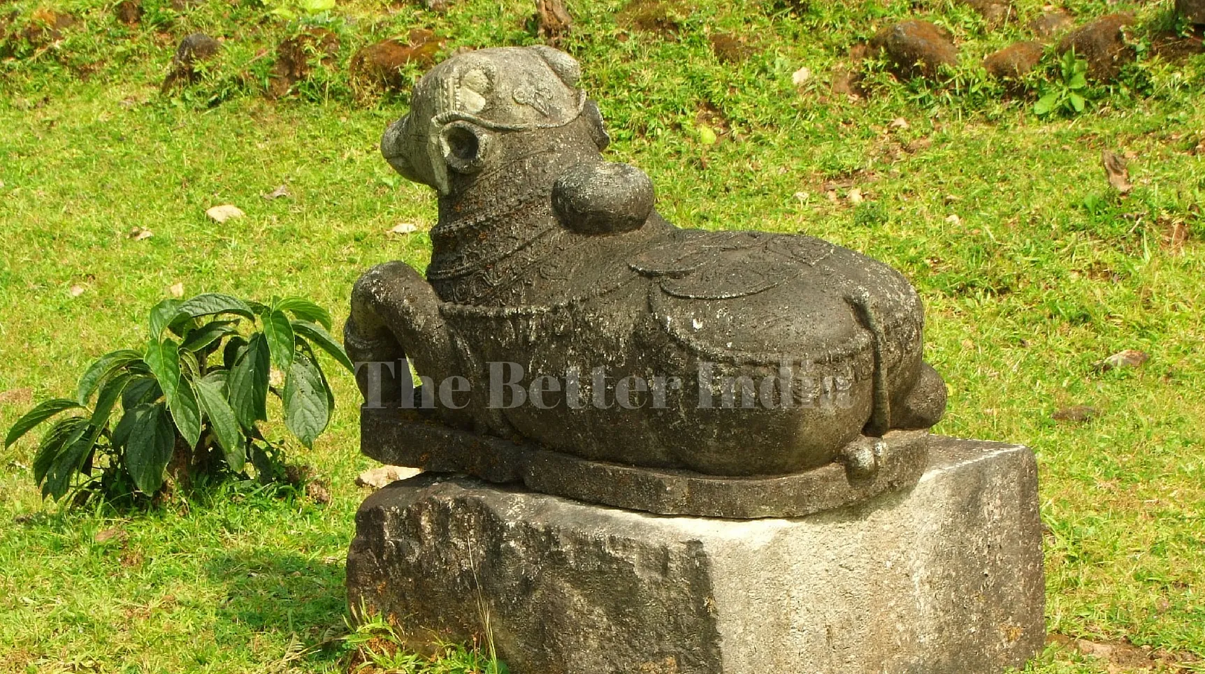 The Better India (49)