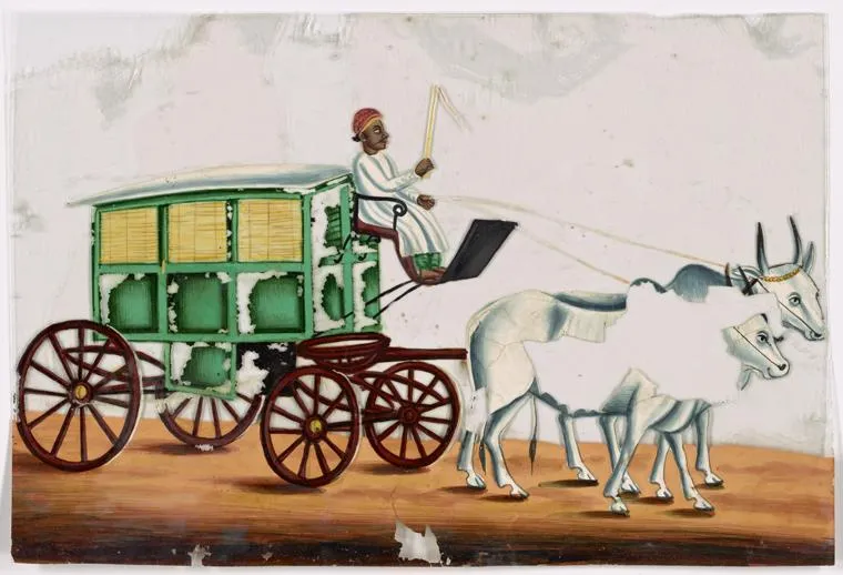 india7