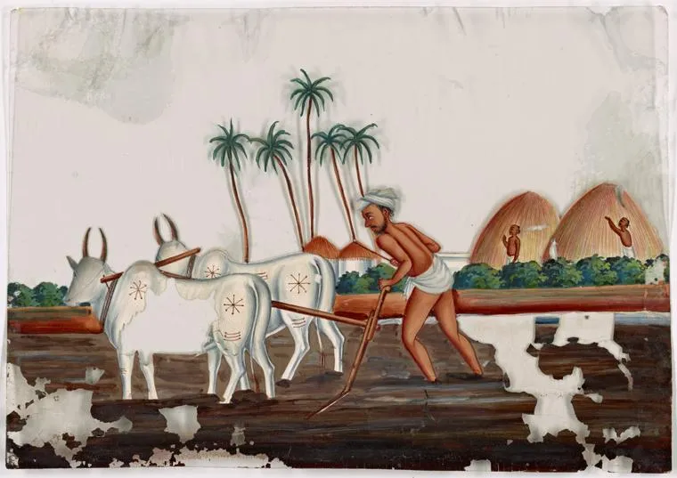 india9