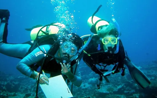 Dr Sathyanarayana and Dr Carden Wallace, working together