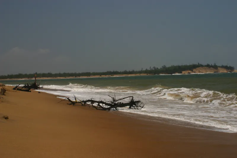 Chilika_sea_side (1)