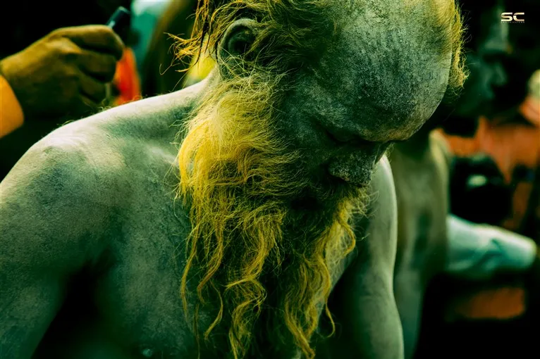 Rajim_Kumbh_Mela_2016