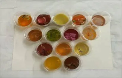 colours-end result