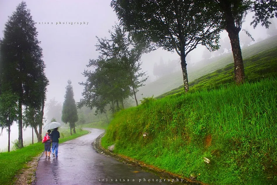 couple sikkim