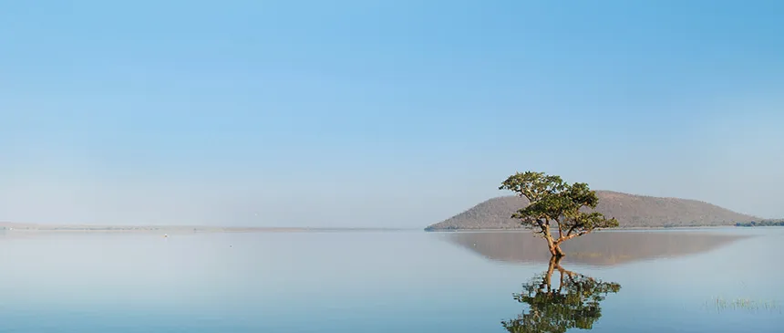 pakhal-lake1
