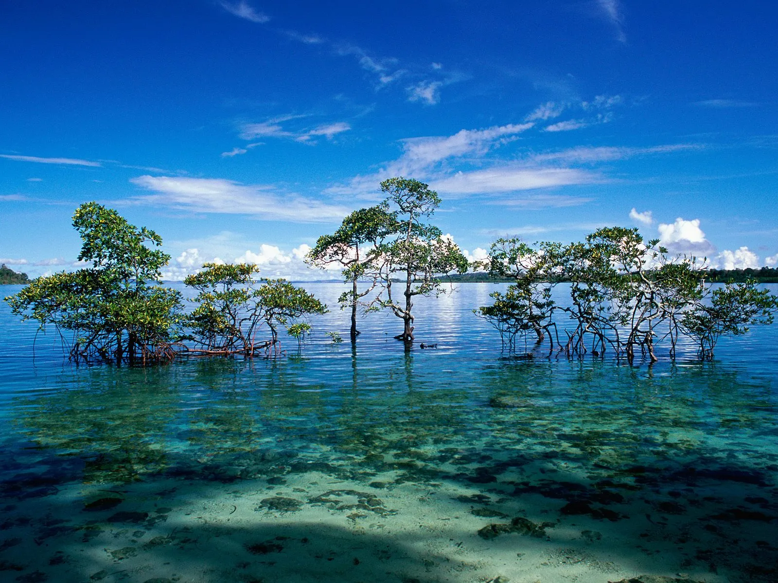 Andaman-and-Nicobar-Islands