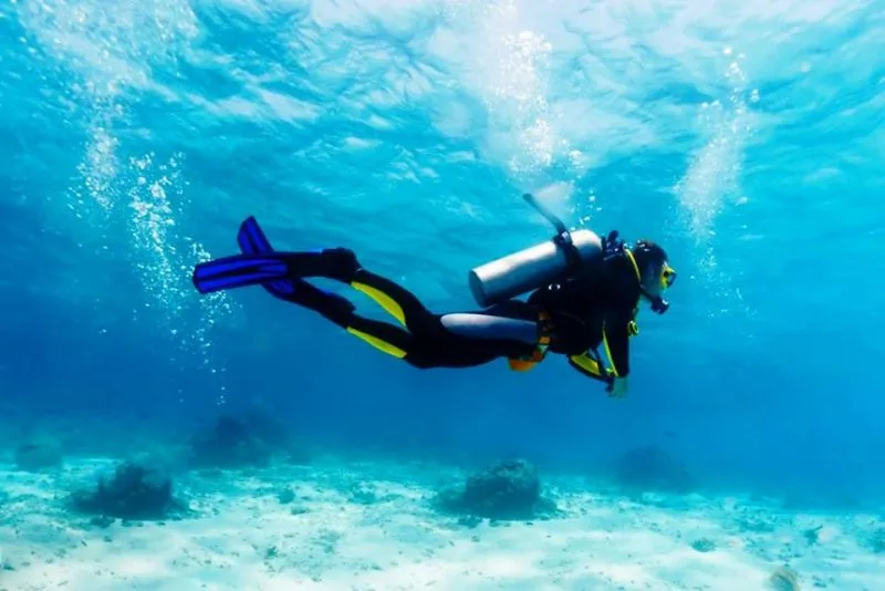 430133-scuba-diving-and-dolphin-watching-trip-to-tarkarli-konkan
