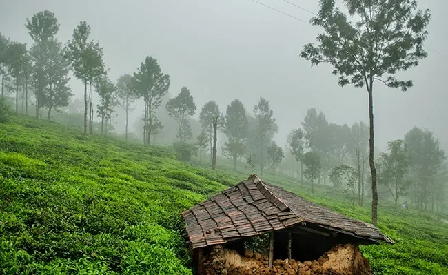kotagiri_tamil_nadu