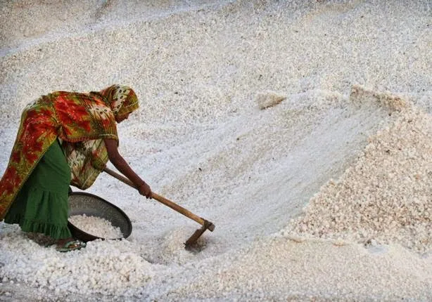 salt2