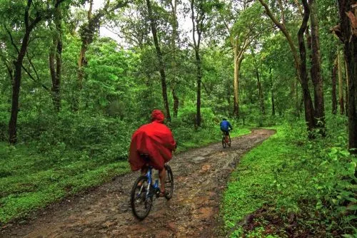 coorg_cycling_monsoon