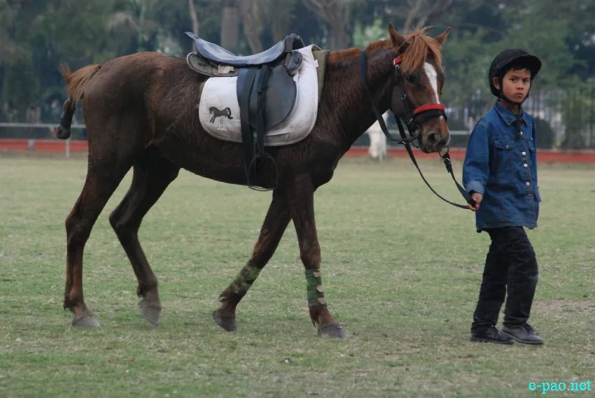 Guv_Polo_20140305_32