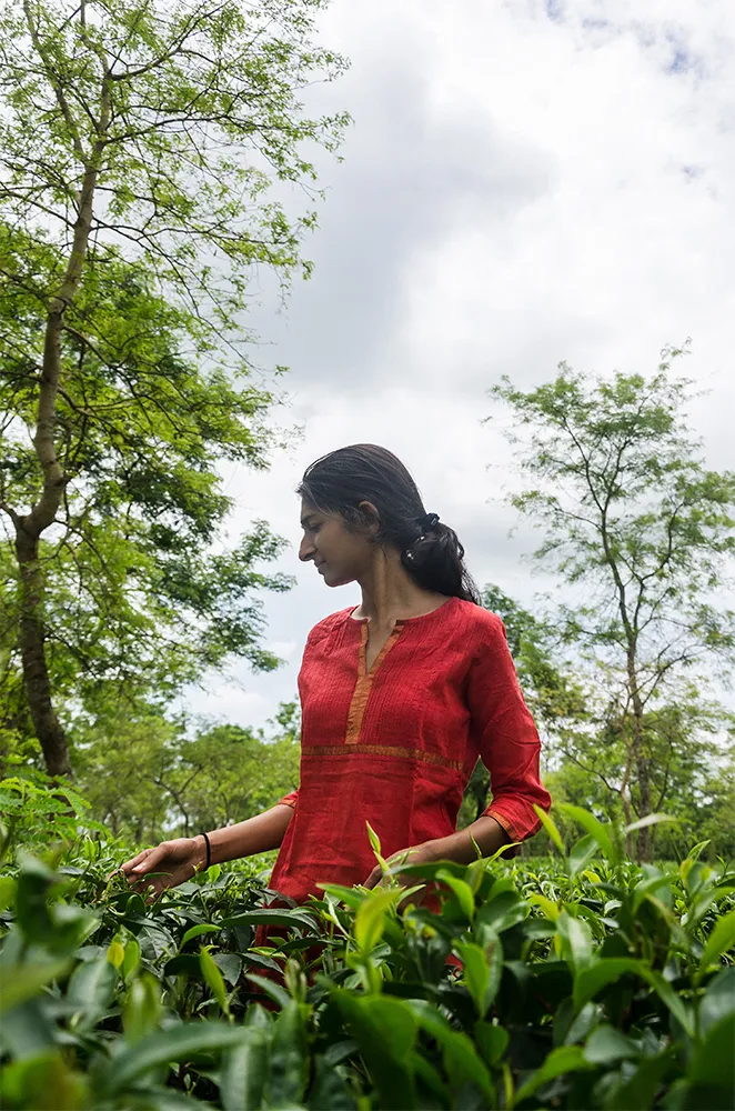 Avantika Jalan, happiest when she’s in the midst of tea.