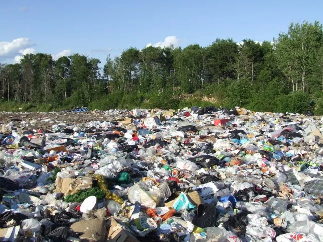 publive-image