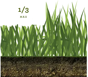 Landscape & Rooftop Garden Designers Delhi