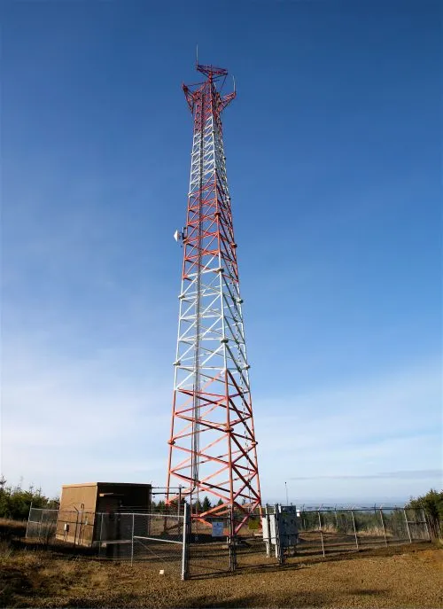 publive-image