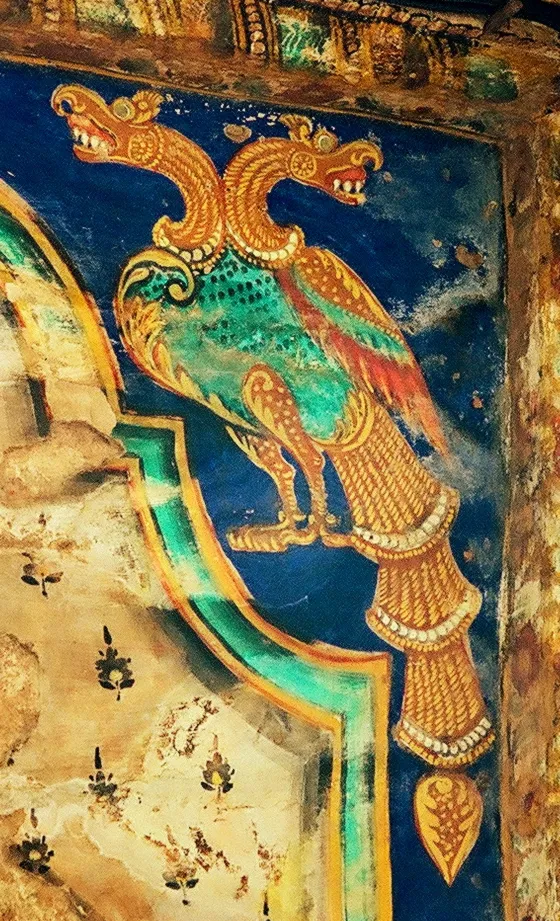 bird