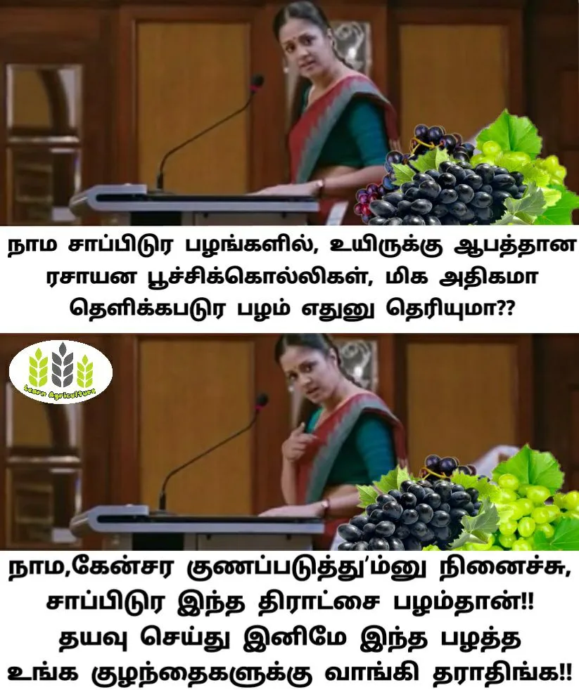 publive-image