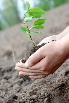 The Better Indian Calendar kindness