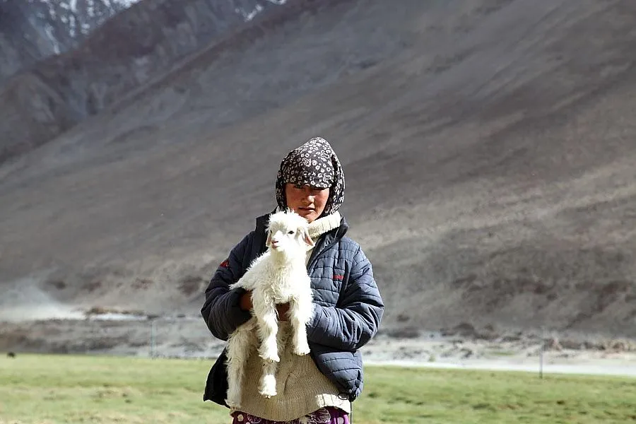 A girl from the Changpa community. (Source: Wikimedia Commons)