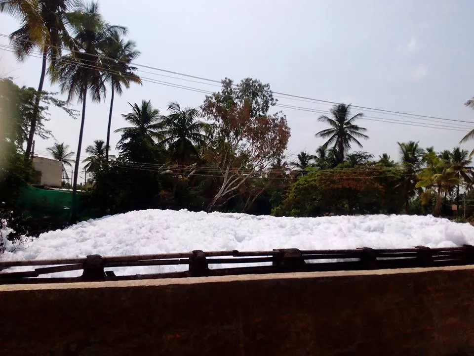 Foaming on the lake. (Source; Facebook)
