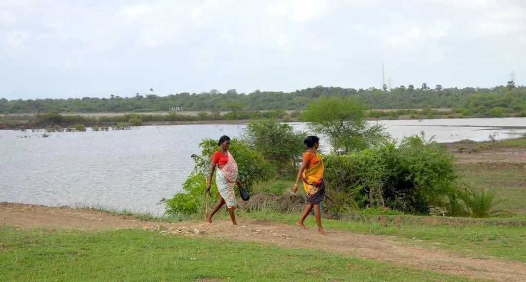 The pond in Tarapur, reclaimed from a saltpan, will enable farmers to grow vegetables. (Photo by Hiren Kumar Bose)