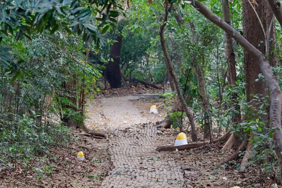 Maharashtra Mahim Nature Park Mumbai (1)