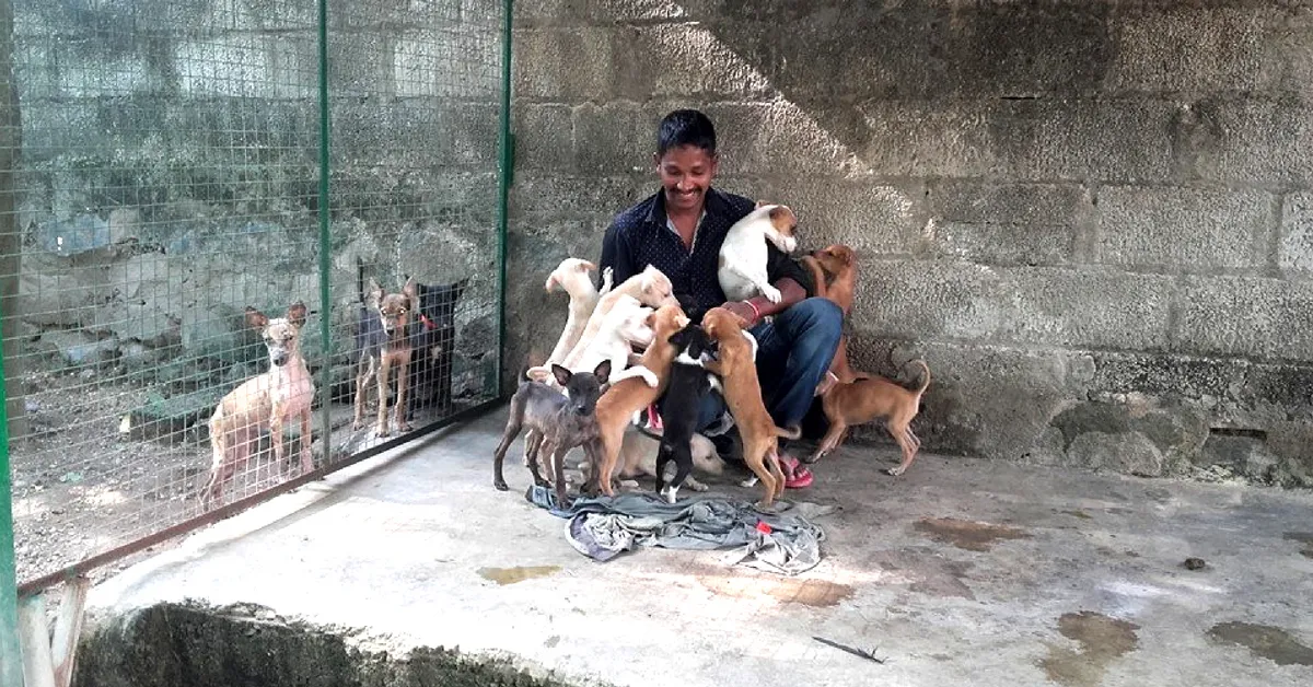 Days at Street Dog Watch Association are packed, starting from rising early and cleaning enclosures, to feeding the dogs. Image Credit: Street Dog Watch Association.