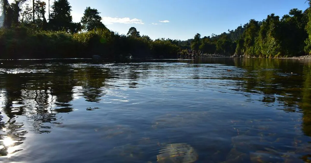 Pasighat, Arunachal Pradesh, is full of natural beauty. Image Credit: Thocks Bikram