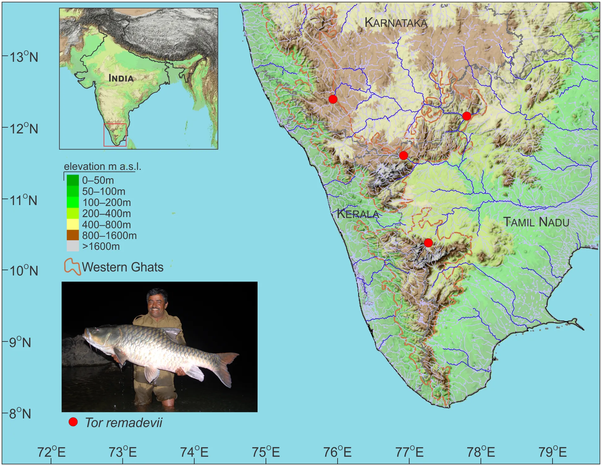 The Cauvery and its tributaries flow through the states of Karnataka, Kerala and Tamil Nadu.  Central Ground Water Board, India