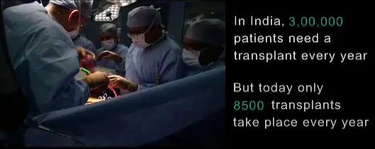 publive-image