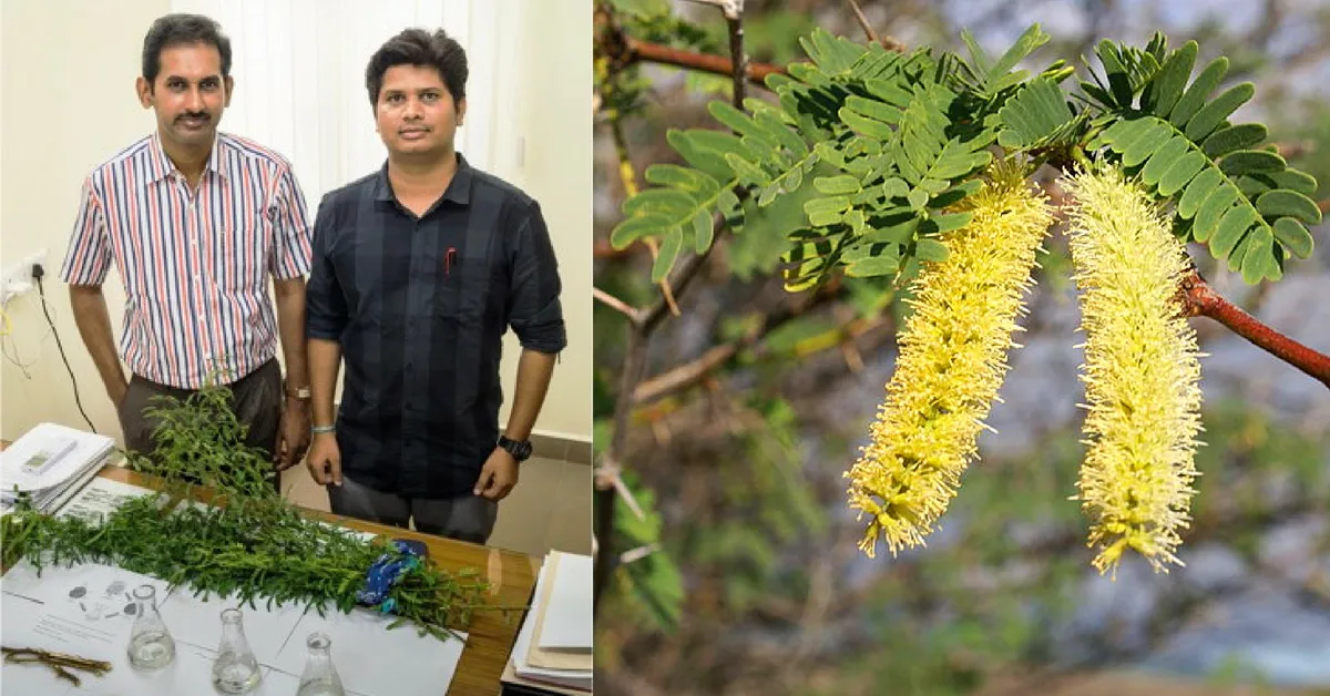 IIT Madras Makes Adsorbent That Filters Toxins