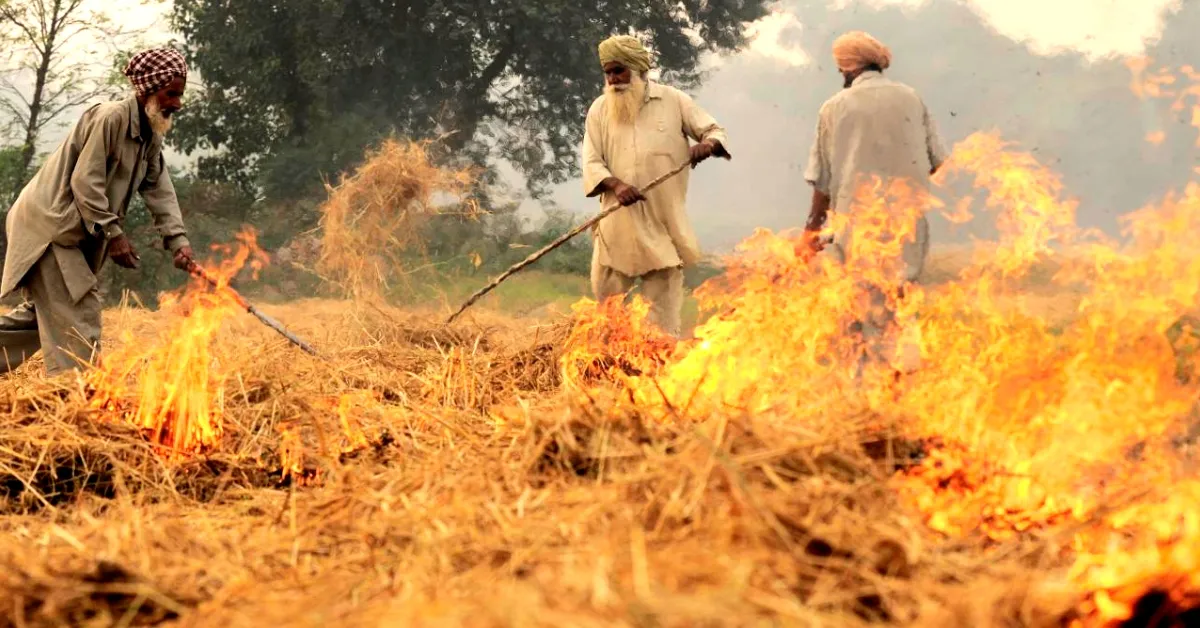 Crop burning (Source: Wikimedia Commons)