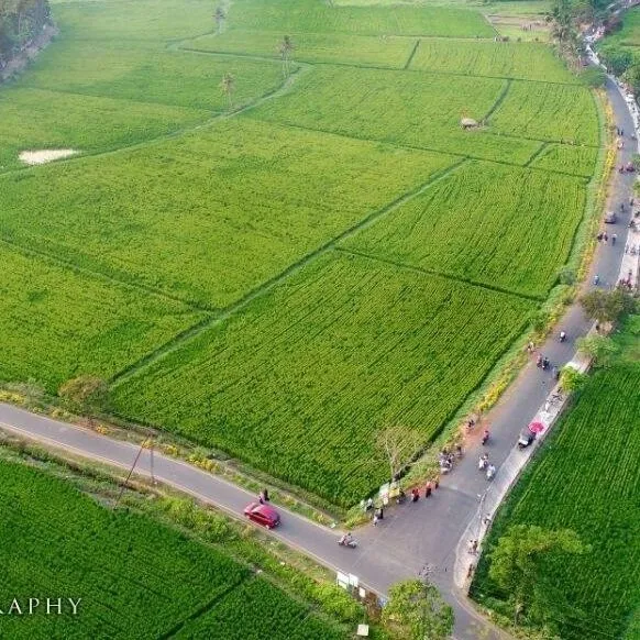 Kerala Youth Turn Dumpyard Clogged With Trash For 20 Years Into Lush Fields!