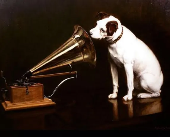 publive-image