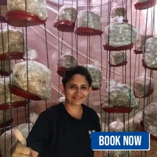 delhi mushroom workshop