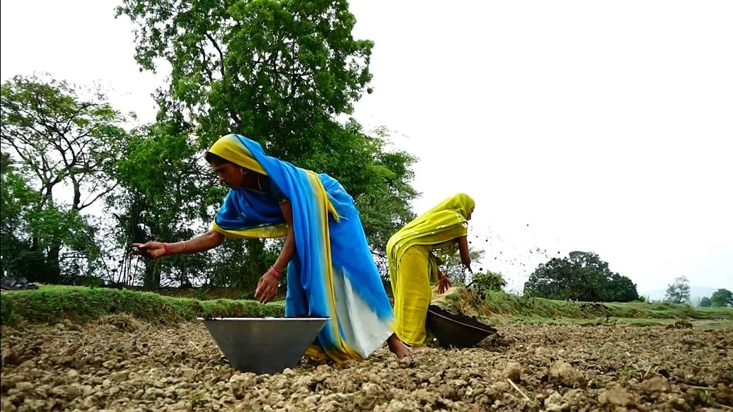 Kedia organic farming