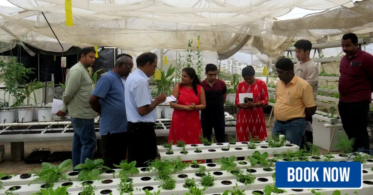 hydrilla hydroponics bengaluru