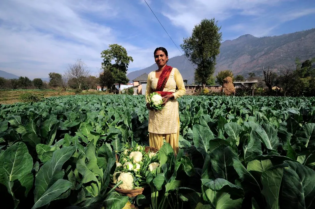 Farmers