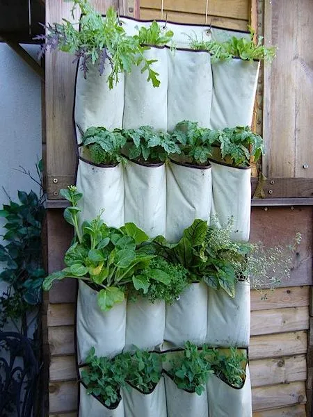 vertical garden