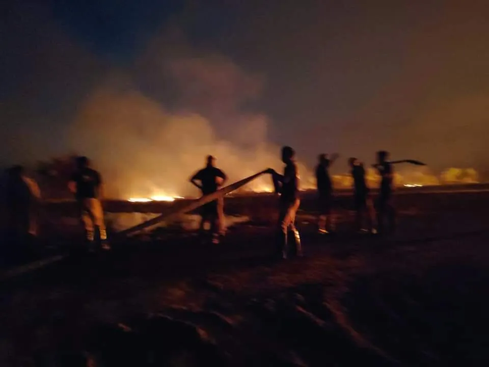 publive-image