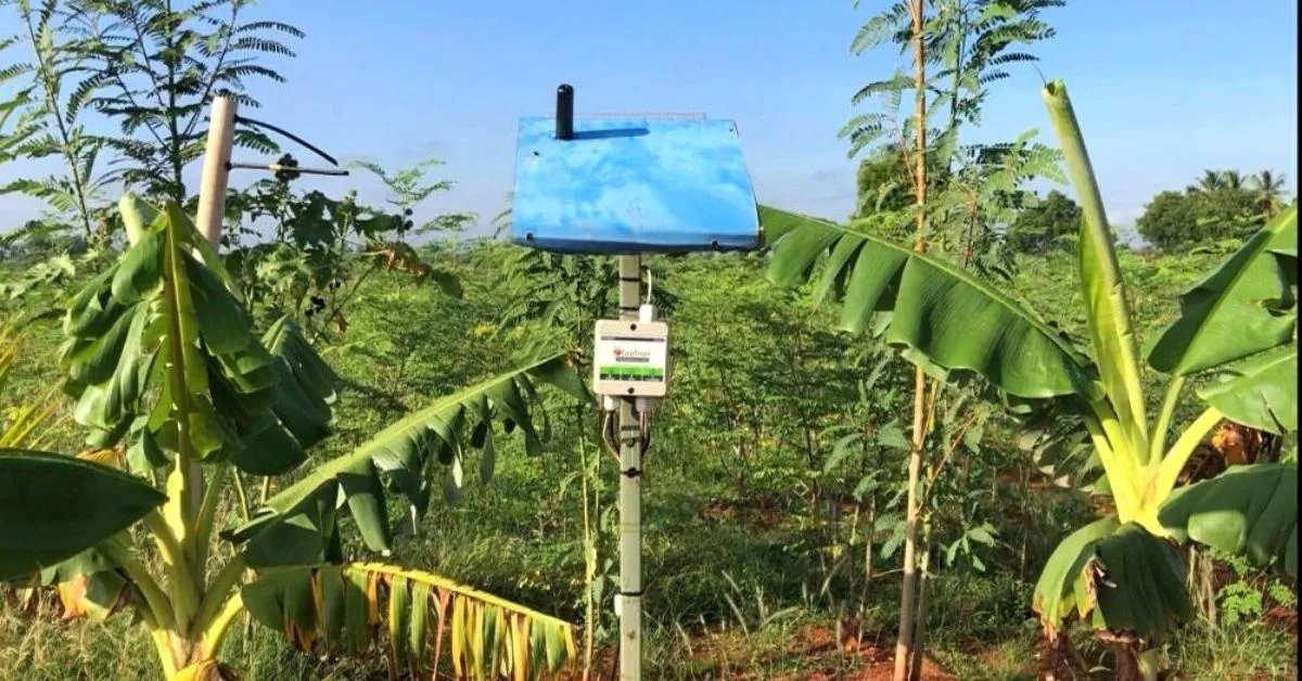 Tamil Nadu Man Quits Corporate Job, Helps 3000 Farmers Double Their Yield With AI