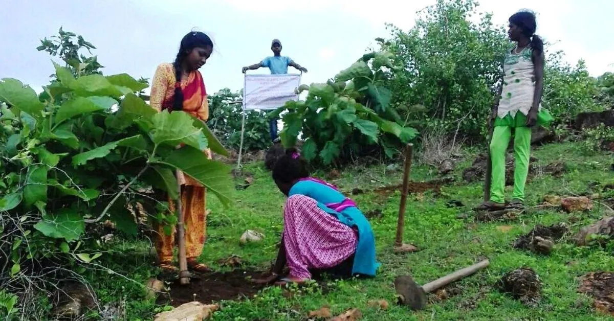 Madhya Pradesh IFS Officers Plant 54,000 Saplings in a Day