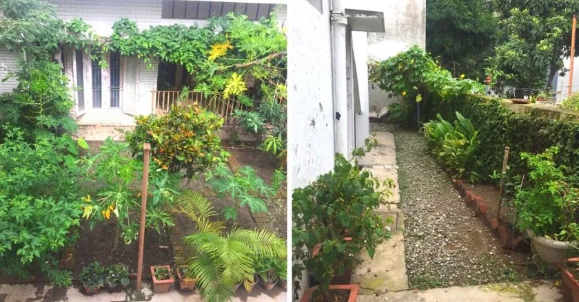 Dehradun Ecologist's Home Hasn’t Got an Electricity or Water Bill in 3 Years