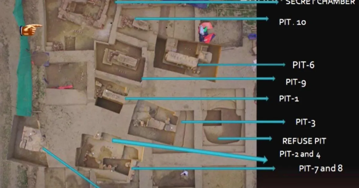 publive-image